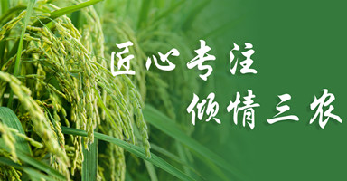 Ļ