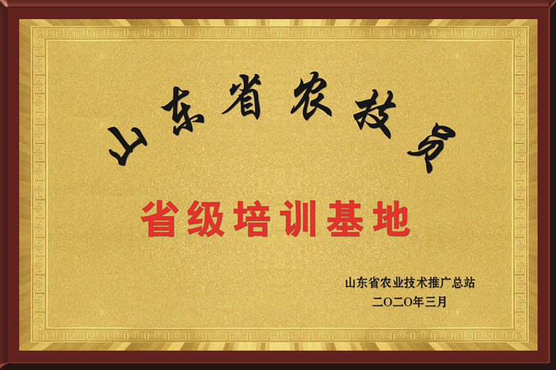 ũʡѵ