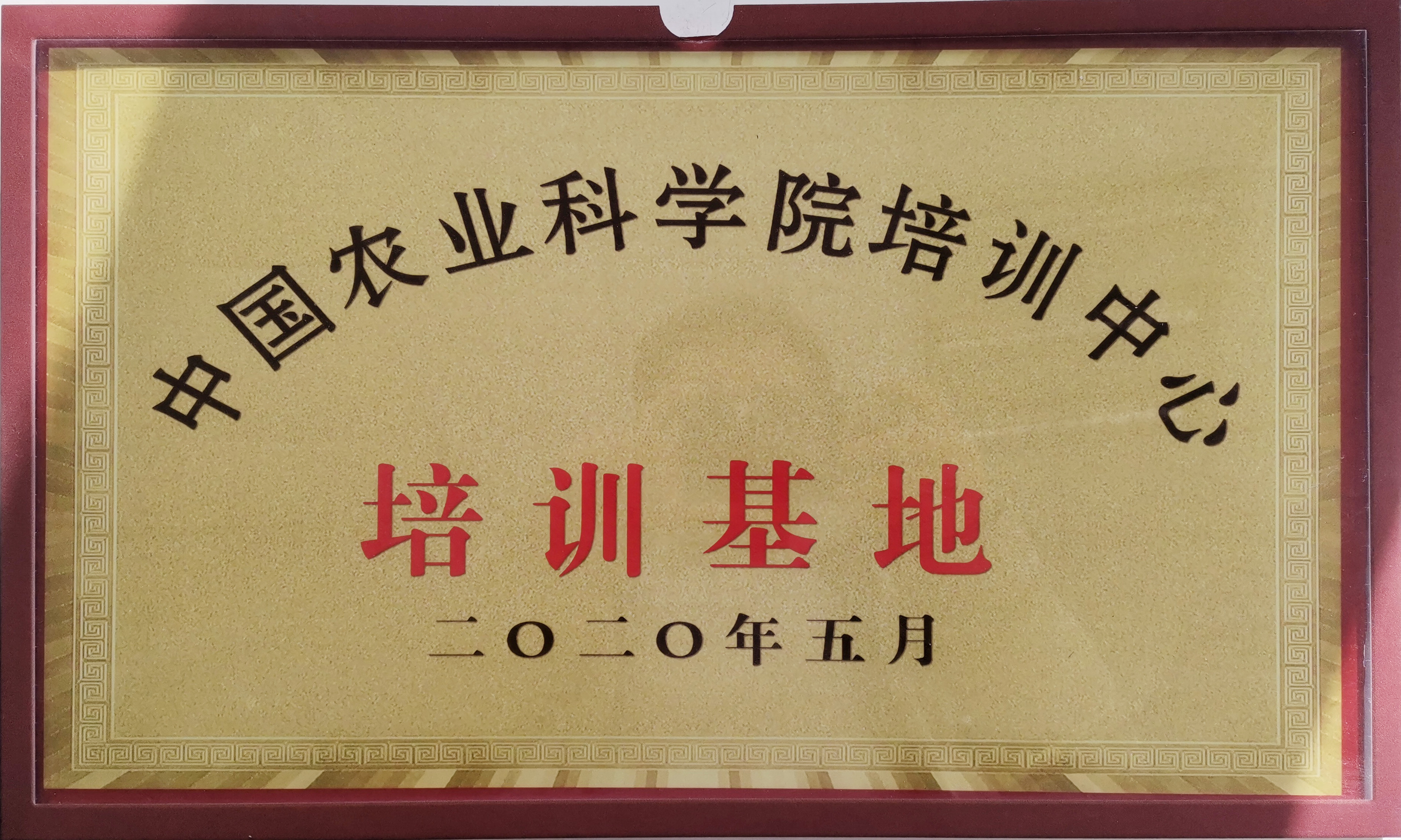 ѵ